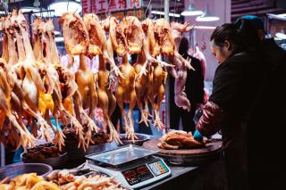 Chez le volailler : choisir la meilleure volaille pour ses recettes