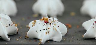 Meringues collantes : pourquoi et comment les réussir sèches