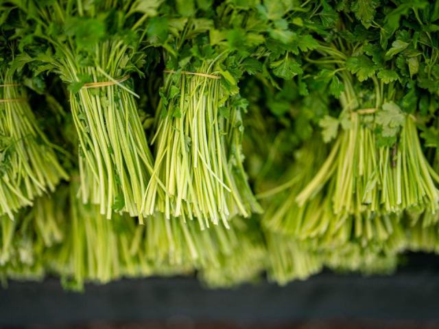 Tiges de persil en cuisine : aromatisation et bouquet garni Tiges de persil en cuisine : aromatisation et bouquet garni