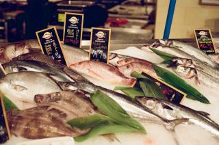 Poissonnerie : comment choisir et acheter le meilleur poisson frais