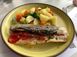 Poissons fins et primeurs, l’accord subtil entre fraîcheur marine et grands crus en devenir