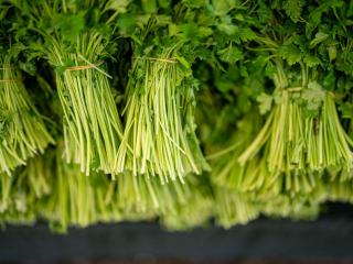 Tige de persil : utilisation des tiges en cuisine, bouquet garni